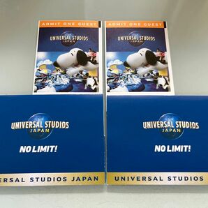 ユニバーサルスタジオジャパン(USJ) チケット 大人2枚