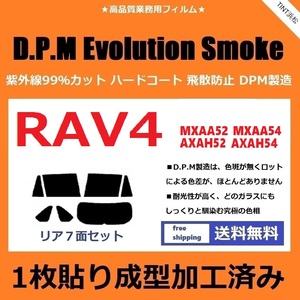 ◆１枚貼り成型加工済みフィルム◆ RAV4 RAV4ハイブリッド MXAA52 MXAA54 AXAH52 AXAH54　【EVOスモーク】 D.P.M Evolution ドライ成型