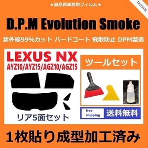★１枚貼り成型加工済みフィルム★ NX AYZ10 AYZ15 AGZ10 AGZ15 【EVOスモーク】 ツールセット付き　D.P.M Evolution Smoke ドライ成型