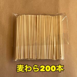 麦わら 約200本 脱プラスチック ヒンメリ、ストロースター作りに