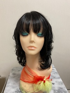 [ fashion wig ] medium Karl [ free shipping ] all head wig fashion new goods top ground . attaching all wig .... hair removal 