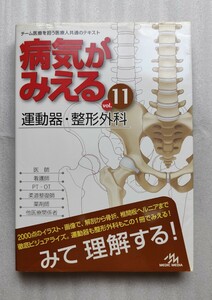 【送料込】病気がみえる　vol.11　第1版