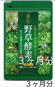 ３ヶ月分！ダイエット野草酵素９０カプセル☆野菜果物☆発酵熟成ダイエットサプリ☆野菜プチ断食酵素☆送料無料☆匿名配送