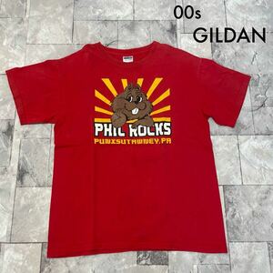 00s GILDAN ギルダン Tシャツ T-shirt TEE 半袖 ビッグプリントロゴ USA企画 STANDADPENNANT レッド サイズM 玉SS1805