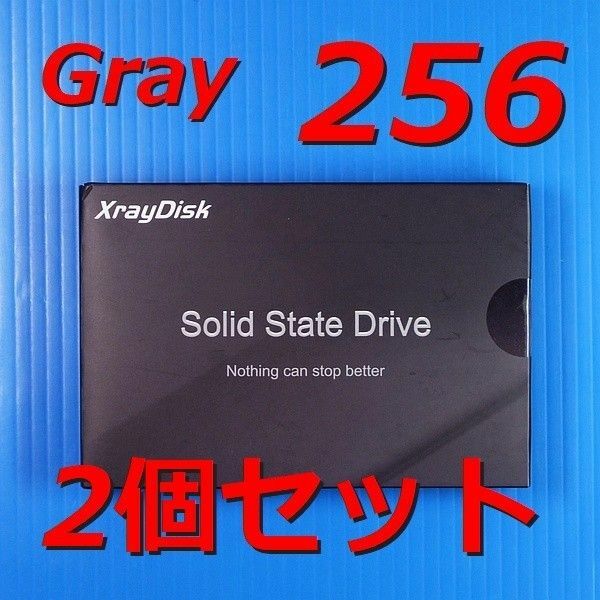 【SSD 256GB 2個セット】XrayDisk Gray SATA3 256GB