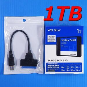 【SSD 1TB】Western Didital Blue SA510 WDS100T3B0A w/USB