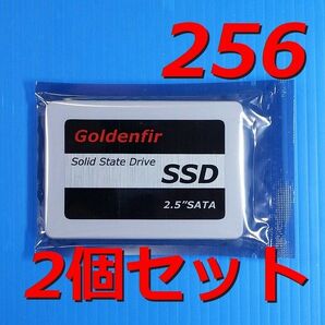 【SSD 256GB 2個セット】Goldenfir T650-256GB