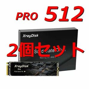 【SSD 512GB 2個セット】XrayDisk M.2 NVMe 512GB PRO