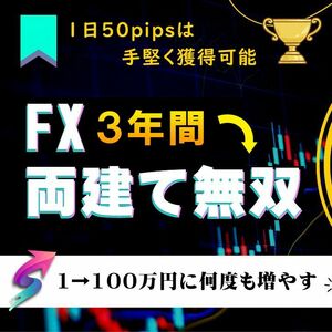 【定価25000円】FX両建て無双 1日50pipsは手堅く獲得可能 サインツールを使った両建てトレード手法