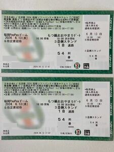 [ бейсбол S указание сиденье пара билет ]6/13 SoftBank vs Yakult |naita-| три . сторона | Hawk s| swallow z| Mizuho PayPay купол 