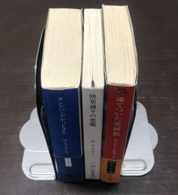 送料込 推理小説受賞作3冊組 リンドバーグ デッドライン M A コリンズ 快楽通りの悪魔 D フルマー 凍てついた墓碑銘 ナンシー ピカード(Y60_画像8