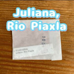 多肉植物＊juliana,Rio Piaxla＊100粒 未開封