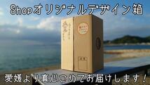 河内晩柑　家庭用8kg愛媛県産　訳あり　送料無料柑橘　みかん和製グレープフルーツ　農家直送　便利皮むき器ムッキーちゃんプレゼント　_画像7