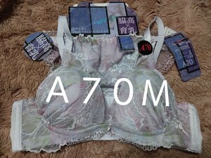 ②レディース　ブラ＆ショーツ　Ａ７０Ｍ