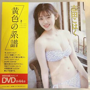 ★ 非売品 週刊プレイボーイ DVD 志田こはく 森田涼花 新旧スーパー戦隊 ヒロイン競演 侍戦隊シンケンジャー ドンブラザーズ