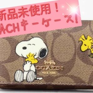 新品未使用コーチ COACH！キーケース スヌーピー コラボ ー5連 リング