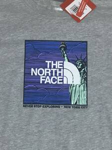 【日本未発売】THE NORTH FACE ノースフェイス Tシャツ XLサイズ / ニューヨーク stabridge the apartment アパートメント ニューヨーク