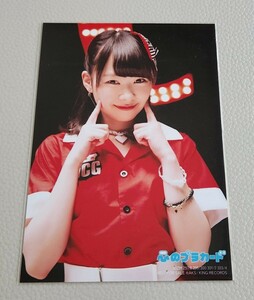 AKB48 小笠原茉由 AKB48 心のプラカード 通常盤 生写真