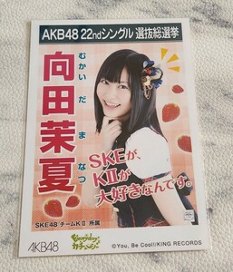 SKE48 向田茉夏 AKB48 Everyday カチューシャ 劇場盤 生写真