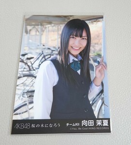 SKE48 向田茉夏 AKB48 桜の木になろう 劇場盤 生写真