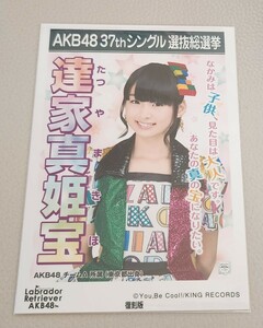 AKB48 達家真姫宝 AKB48 ラブラドール・レトリバー 劇場盤 復刻版 生写真