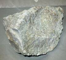 インドネシア　ジャワ島産巨石天然フォシルコーラル原石1311g［珊瑚の化石］激レア石^ ^_画像3