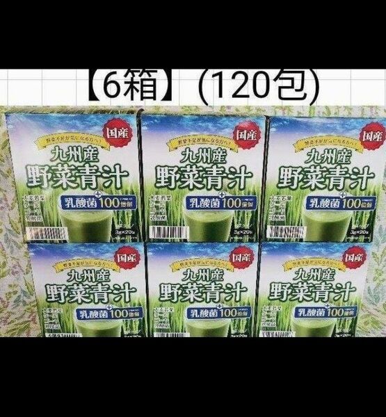 【国産】6箱[120包]九州産野菜青汁/乳酸菌100億個/　