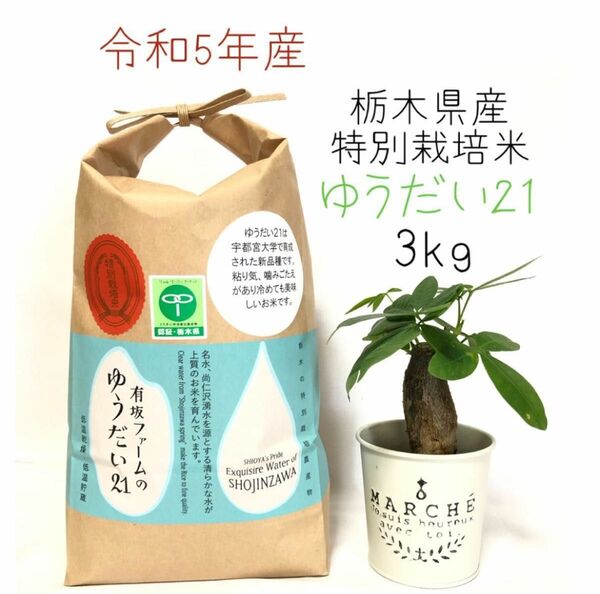 栃木県産ゆうだい21【特別栽培米】白米3kg