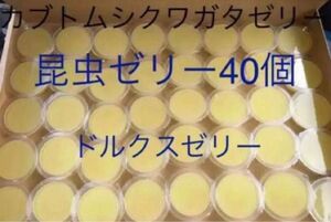 カブトムシ　クワガタ　昆虫用　ドルクスゼリー　40個　高タンパクオオクワ外国産 フジコン　 カブトムシゼリー クワガタゼリー