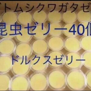 カブトムシ　クワガタ　昆虫用　ドルクスゼリー　40個　高タンパクオオクワ外国産 フジコン　 カブトムシゼリー クワガタゼリー