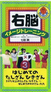 即決〈同梱歓迎〉VHS 右脳イメージトレーニング 七田眞 はじめてのたしざんひきざん3 学習 知育 ビデオ◎その他多数出品中∞ｍ923