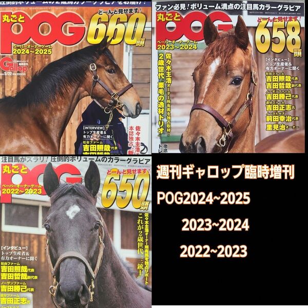 匿名配送、送料無料、週刊ギャロップ臨時増刊POG2024~2025POG2023~2024POG2022~20233冊セット