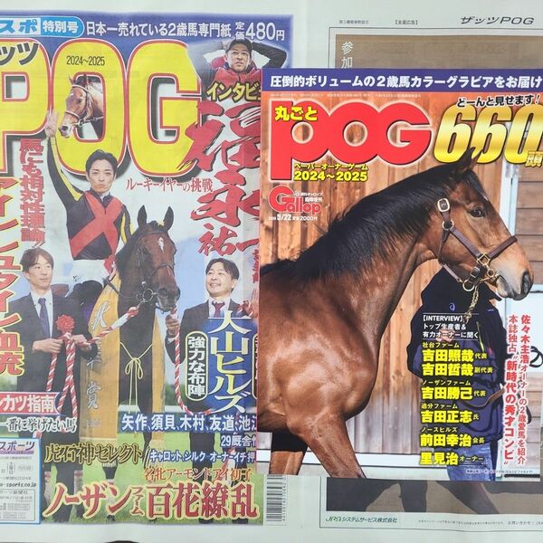 匿名配送、送料無料、即購入OK!週刊ギャロップ臨時増刊POG2024~2025ザッツPOG2つセット