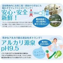 観音温泉水 20L バッグインボックス 1箱 ミネラルウォーター 飲む温泉 シリカ水 天然水 断水対策 備蓄用 シリカウォーター_画像4