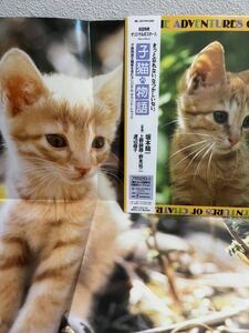  beautiful goods . cat monogatari Sakamoto Ryuichi LP record soundtrack 