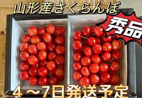 山形県産　さくらんぼ　佐藤錦　1キロ　特秀　贈答用　