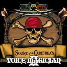 ケース無::VOICE MAGICIAN II SOUND of the CARIBBEAN 通常盤 レンタル落ち 中古 CD