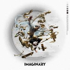 [11] CD MIYAVI Imaginary (通常盤) 雅 みやび ケース交換 TYCT-60176