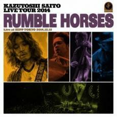 ケース無::KAZUYOSHI SAITO LIVE TOUR 2014 RUMBLE HORSES Live at ZEPP TOKYO 2014.12.12 通常盤 2CD レンタル落ち 中古 CD