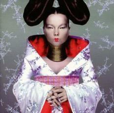 ケース無::【ご奉仕価格】Homogenic ホモジェニック 輸入盤 レンタル落ち 中古 CD