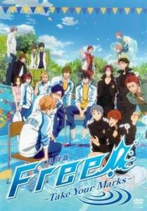 特別版 Free! Take Your Marks レンタル落ち 中古 DVD