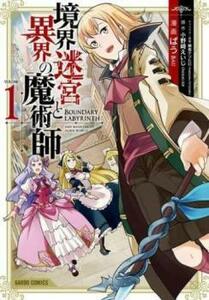 ts::境界迷宮と異界の魔術師(10冊セット)第 1～10 巻 レンタル落ち セット 中古 コミック Comic