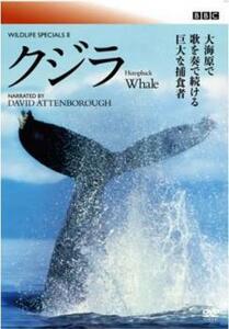 【ご奉仕価格】bs::BBC ワイルドライフ・スペシャル2 クジラ【字幕】 レンタル落ち 中古 DVD