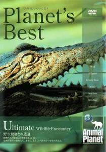 ケース無::ts::プラネッツ・ベスト 野生動物との遭遇 レンタル落ち 中古 DVD