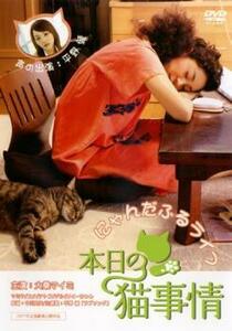 ケース無::bs::本日の猫事情 レンタル落ち 中古 DVD