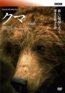 【ご奉仕価格】bs::BBC ワイルドライフ スペシャル2 クマ【字幕】 レンタル落ち 中古 DVD