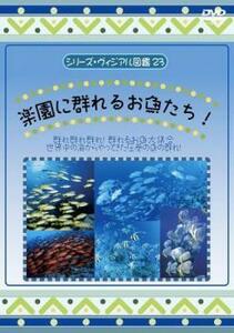 ケース無::ts::シリーズ・ヴィジュアル図鑑 23 楽園に群れるお魚たち レンタル落ち 中古 DVD