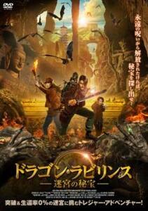 【ご奉仕価格】ドラゴン・ラビリンス 迷宮の秘宝 レンタル落ち 中古 DVD