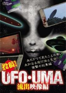 投稿!UFO・UMA 流出映像編 レンタル落ち 中古 DVD