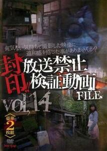 bs::封印!!放送禁止検証動画FILE 14 何気ない気持ちで撮影した映像に違和感を感じた事がありませんか? 2枚組 レンタル落ち 中古 DVD